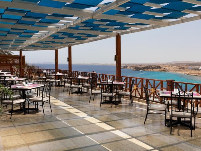фото Albatros Sharm Resort (ex. Beach Albatros Resort) изображение №22