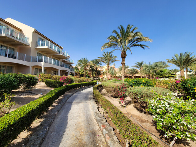 фотографии отеля Movenpick Resort & Spa El Gouna изображение №11