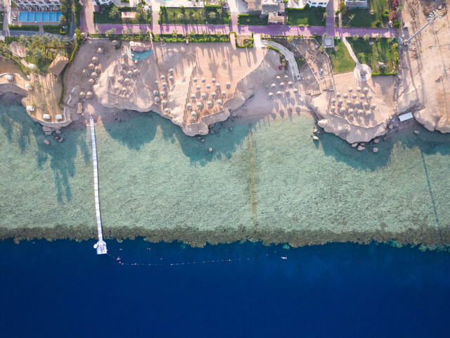 фотографии Safir Sharm Waterfalls Resort (ex. Hilton Sharm Waterfalls Resort) изображение №4