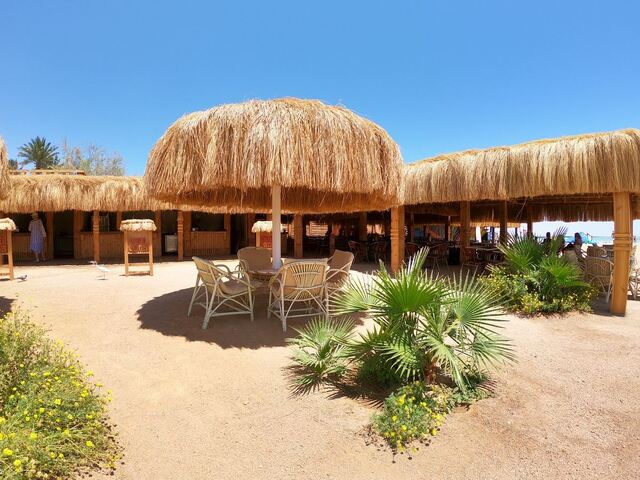 фотографии отеля Royal Regency Club изображение №35