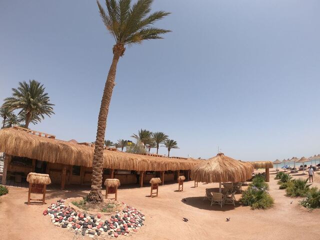 фотографии Royal Regency Club изображение №36