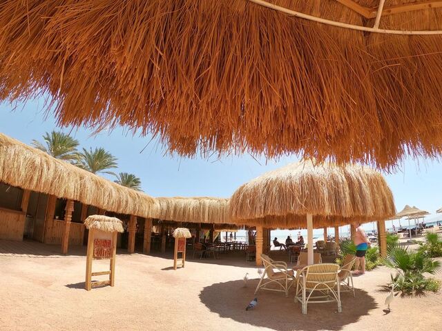 фото отеля Royal Regency Club изображение №17