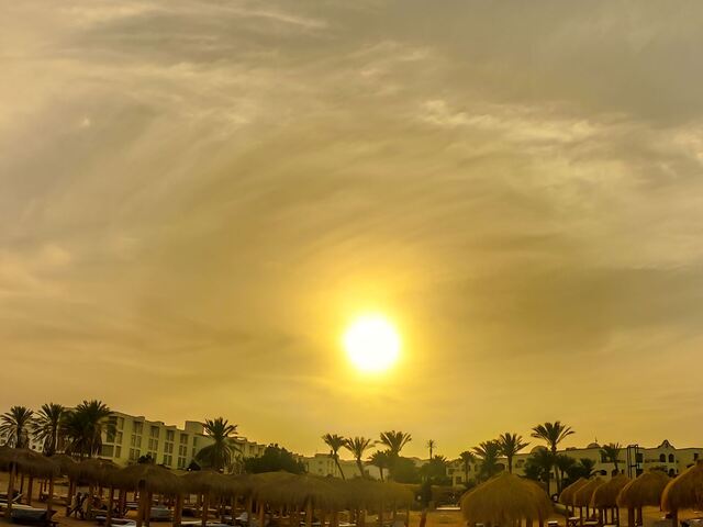 фотографии отеля Royal Regency Club изображение №19