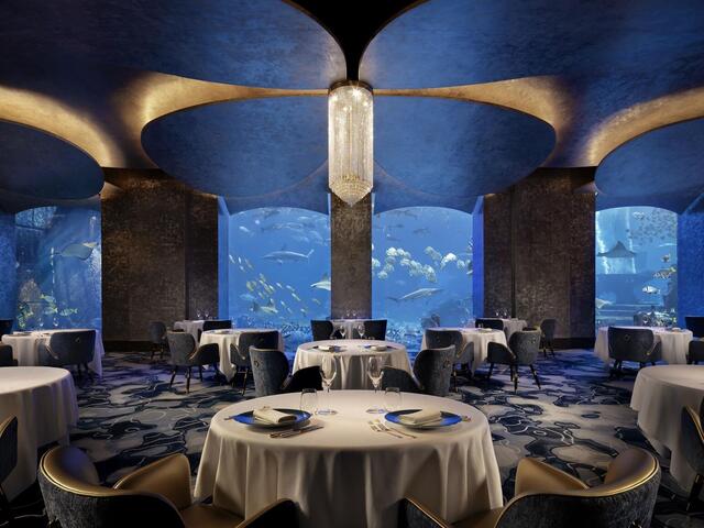 фотографии отеля Atlantis The Palm изображение №31
