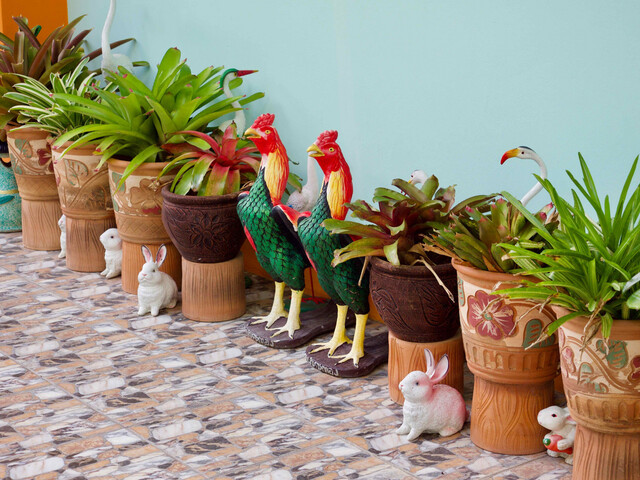 фото Jardin (ex. Argentum; Dacha Beach) изображение №6