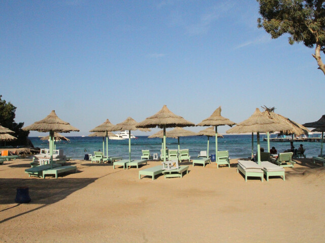 фотографии отеля Dexon Roma (ex. Roma Host Way Aqua Park; Roma) изображение №23