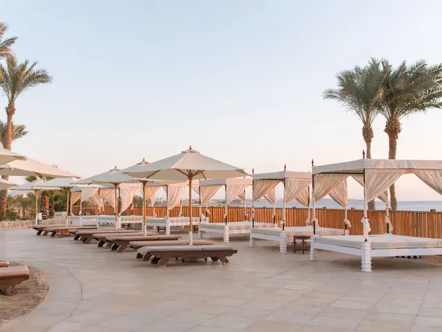 фотографии отеля Red Sea The Grand Hotel Sharm El Sheikh изображение №19