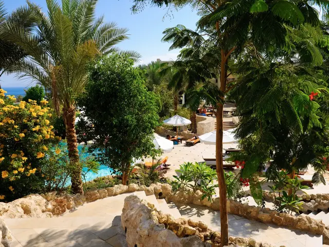 фотографии отеля Red Sea The Grand Hotel Sharm El Sheikh изображение №7