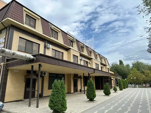 фото Оазис (Oazis) изображение №2