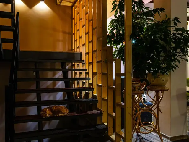 фото отеля Рыжий Пони (ex. Гостевой Дом На Весенней 32В) изображение №37