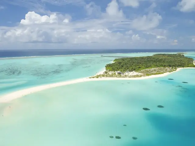 фотографии отеля Villa Park, Sun Island (ex. Sun Island Resort & Spa) изображение №27