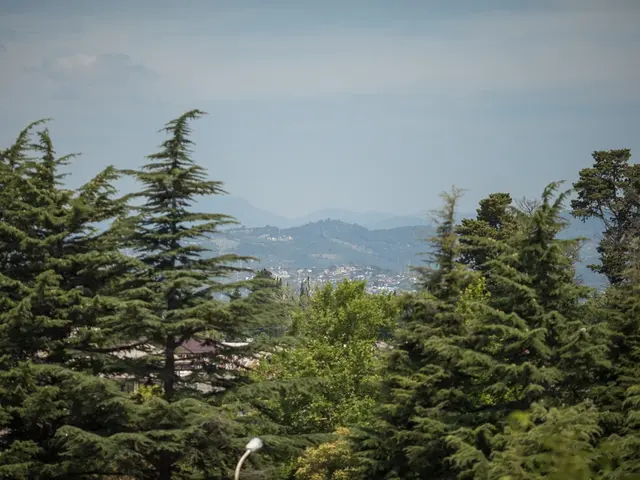 фото отеля Лазурный Берег (ex. Цандрипш) изображение №17