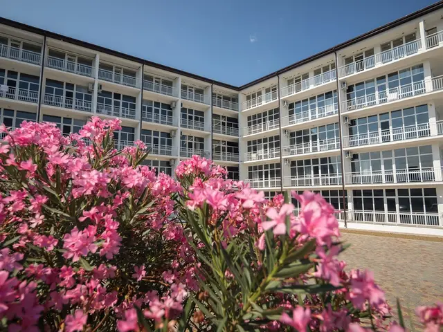 фото Лазурный Берег (ex. Цандрипш) изображение №2