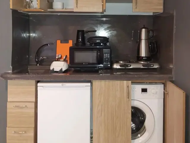 фотографии Rozetta изображение №8