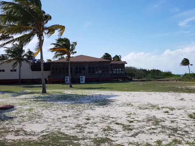 фото Starfish Cayo Guillermo (ex. Gran Caribe Club Cayo Guillermo; Allegro Club Cayo Guillermo) изображение №2