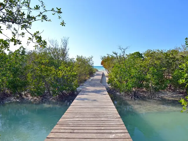 фото отеля Melia Sol Cayo Coco изображение №17