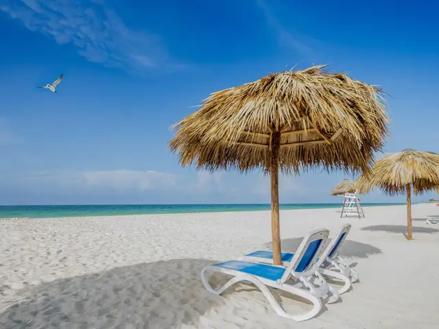 фотографии отеля Melia Sol Cayo Coco изображение №7