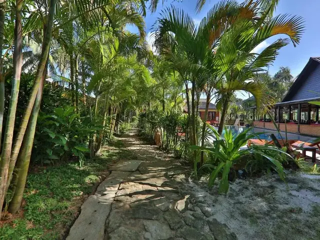 фотографии отеля La Paloma Resort (ex. La Paloma Bungalows & Spa) изображение №11