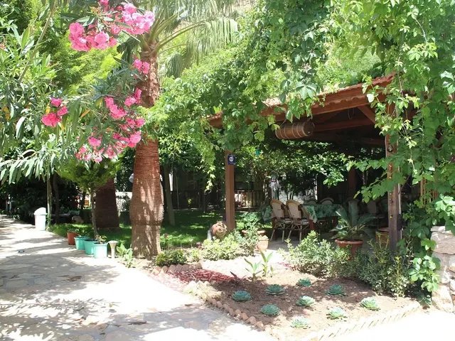 фотографии Yamac Motel Selimiye изображение №8