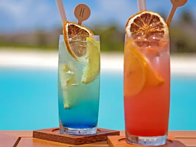 фото отеля Heritance Aarah изображение №37