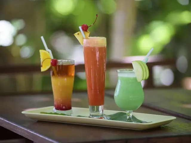 фотографии Biyadhoo Island Resort изображение №20