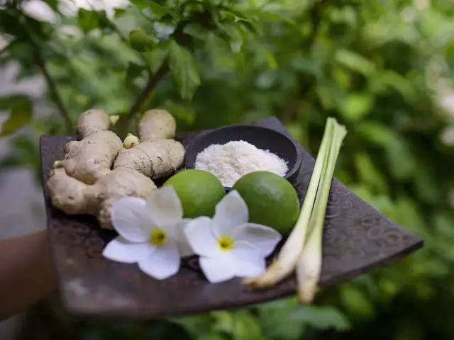 фото Biyadhoo Island Resort изображение №22