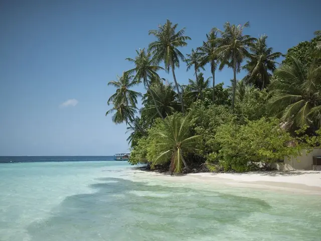 фото Biyadhoo Island Resort изображение №14