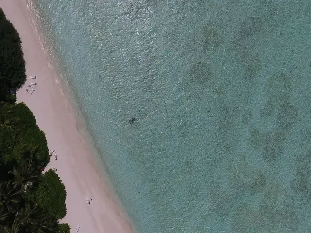 фото Biyadhoo Island Resort изображение №6