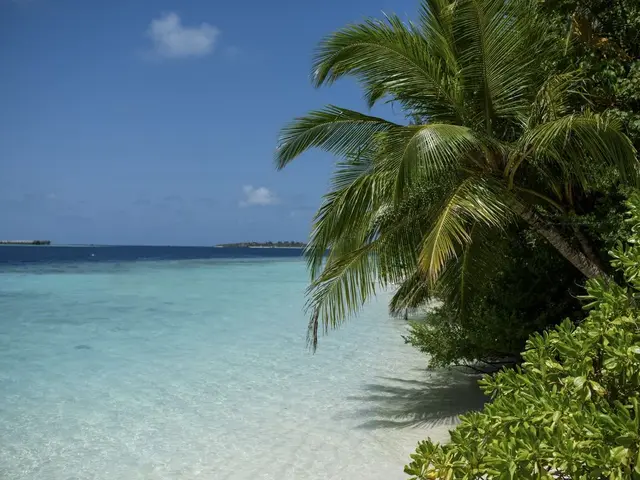 фотографии Biyadhoo Island Resort изображение №4