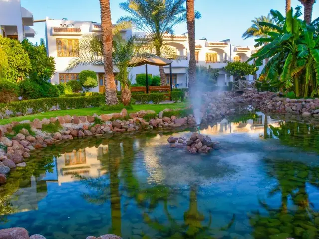 фотографии отеля Dive Inn Resort изображение №3