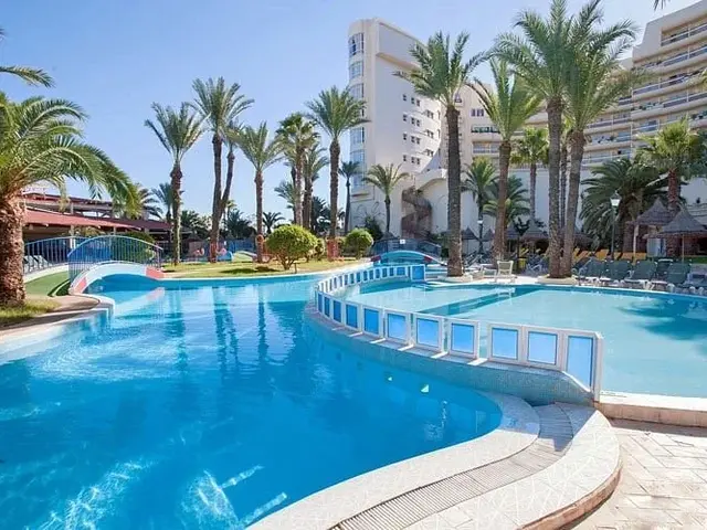 фотографии отеля Riadh Palms изображение №19