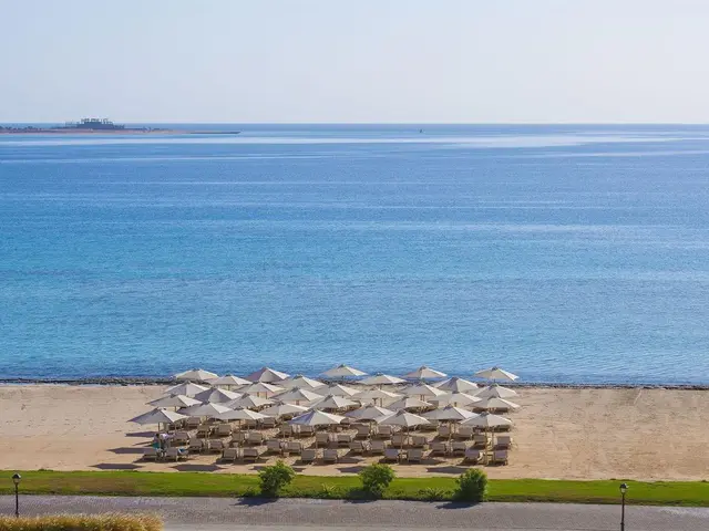 фотографии Baron Palace Sahl Hasheesh изображение №16