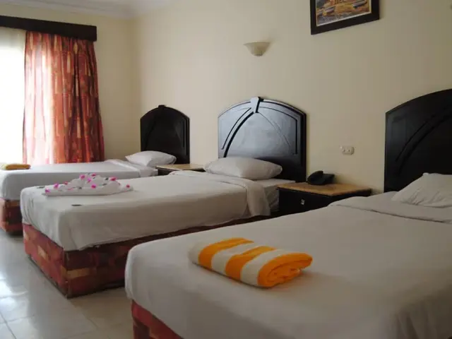 фото Viva Sharm (ex. Top Choice Viva Sharm; Falcon Inn ViVa Resort) изображение №2