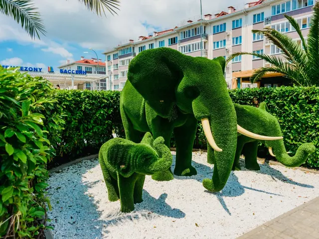 фото отеля Город-Отель Бархатные Сезоны, Семейный Квартал (Русский Дом 14 квартал) изображение №17