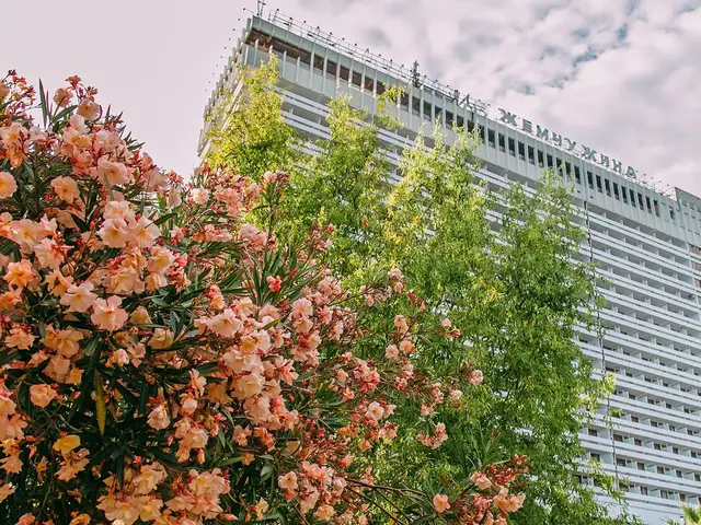фотографии Гранд Отель Жемчужина (Grand Hotel Zhemchuzhina) изображение №64