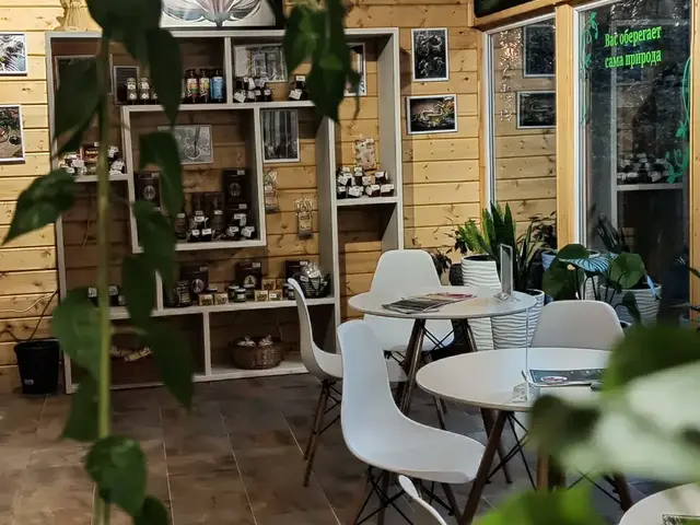 фото Оздоровительный Комплекс Дивный (ex. Русский Дом Дивный 43 39; Мосэнерго) изображение №62