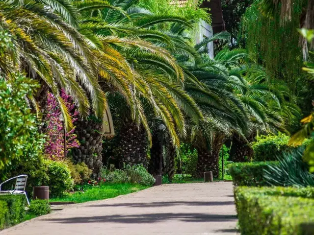 фотографии Оздоровительный Комплекс Дивный (ex. Русский Дом Дивный 43 39; Мосэнерго) изображение №36