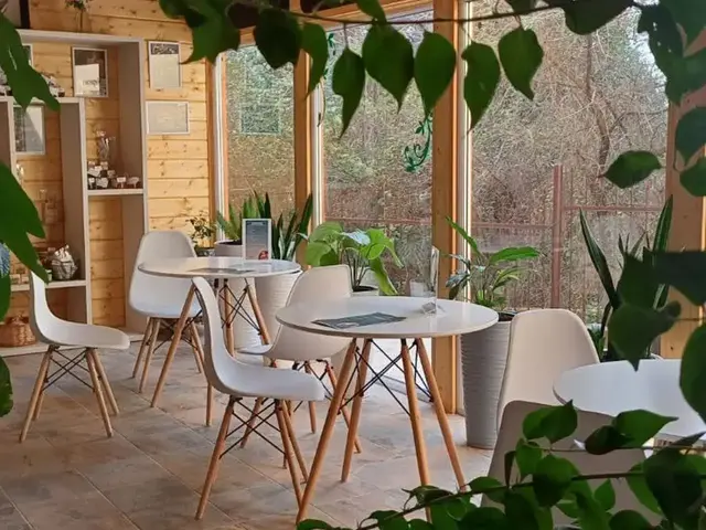 фото отеля Оздоровительный Комплекс Дивный (ex. Русский Дом Дивный 43 39; Мосэнерго) изображение №29