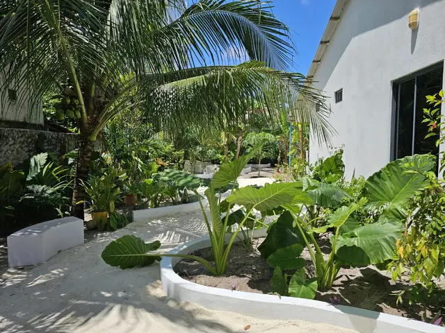 фотографии Shams Thoddoo изображение №24