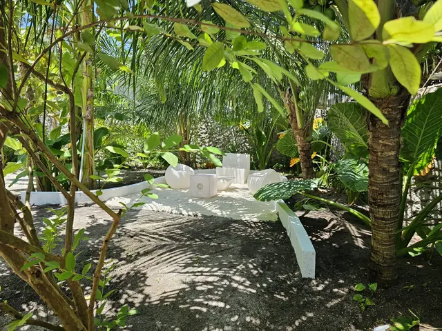 фотографии отеля Shams Thoddoo изображение №23