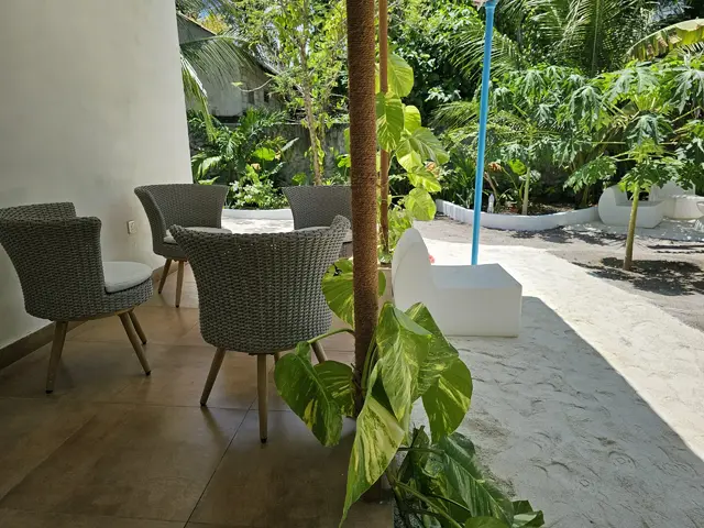 фотографии Shams Thoddoo изображение №12