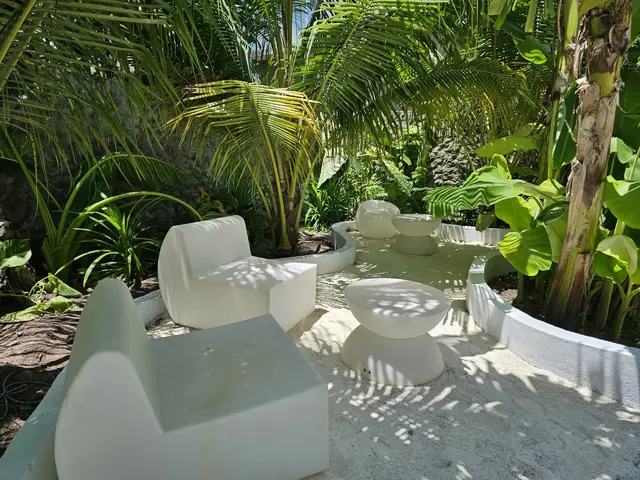 фотографии Shams Thoddoo изображение №8