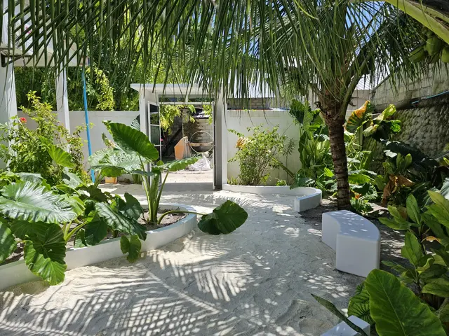 фотографии отеля Shams Thoddoo изображение №7