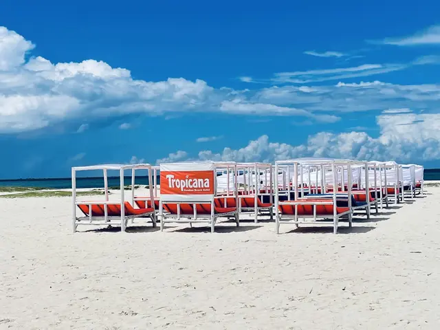 фото Tropicana Kendwa Beach изображение №6