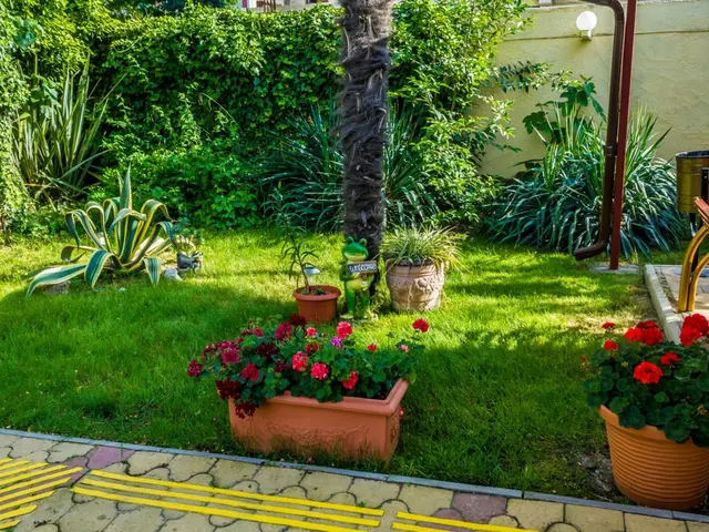 фотографии отеля Пансионат ПримаВера (PrimaVera) изображение №11