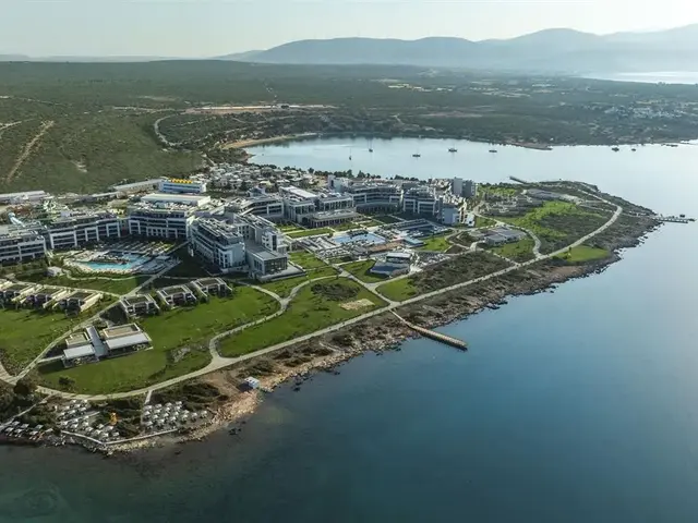 фото Anda Barut Collection изображение №22