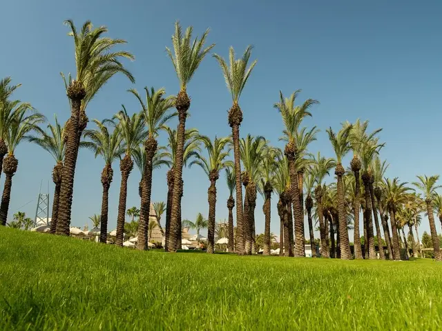 фото TT AQI Pegasos World (ex. TT Hotels Pegasos World; SplashWorld Pegasos World) изображение №34