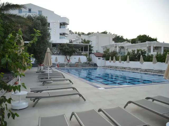 фотографии Adler изображение №4