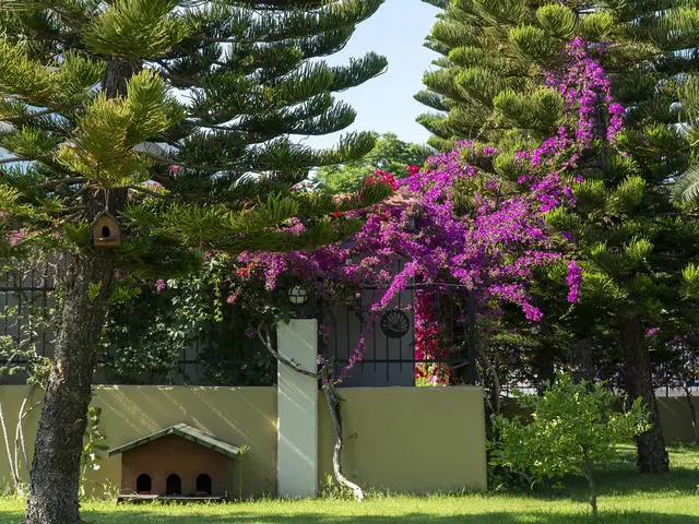 фотографии отеля Adalya Artside (ex. Grand Hotel Art Side) изображение №3