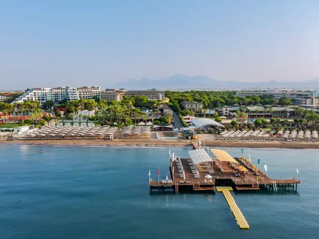 фотографии Papillon Ayscha изображение №92